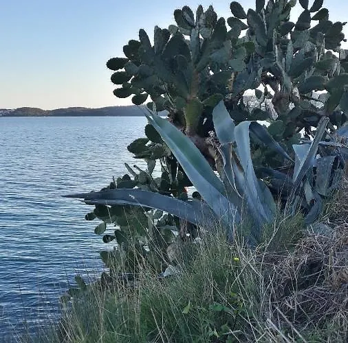 Calypso شقة تروغير