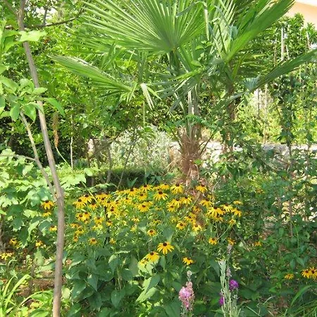 Апартаменты Calypso