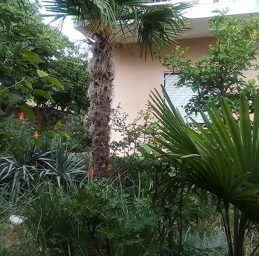 Appartement Calypso Trogir