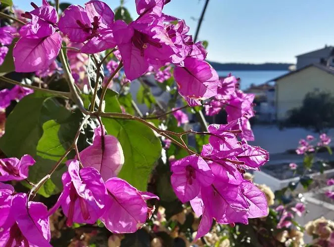 Apartament Calypso *